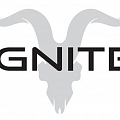 ОЭСДН IGNITE
